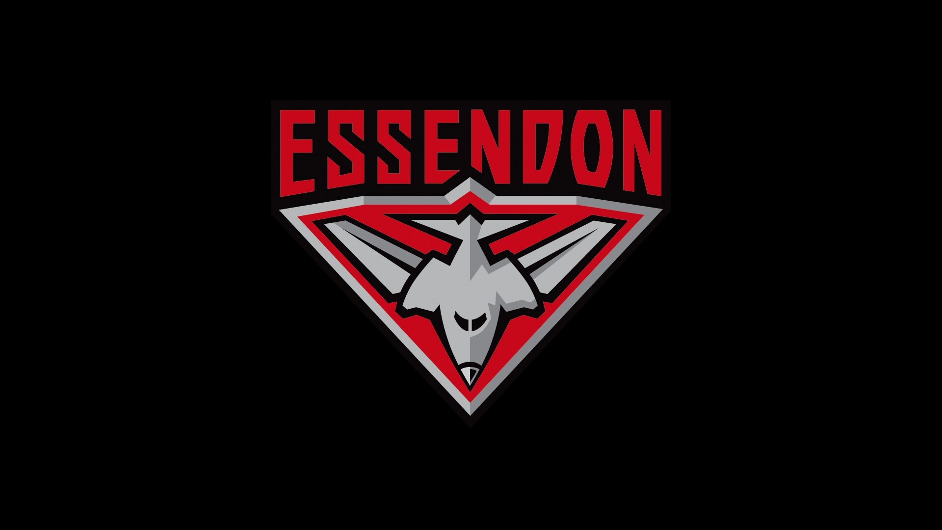 Executive Team Appointments Essendonfc au
